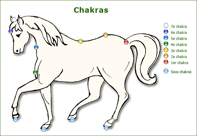 rk701-chakras-cheval.jpg